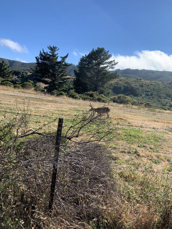 Snail-like route in San Bruno