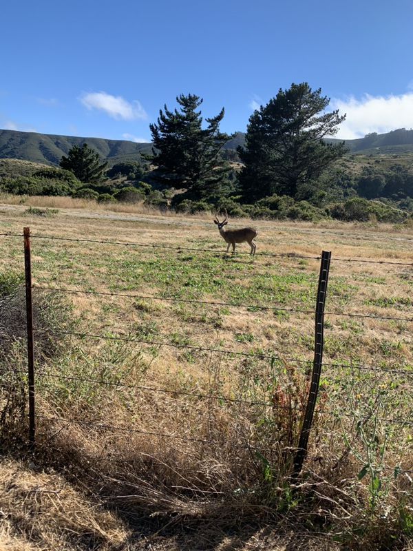 Snail-like route in San Bruno