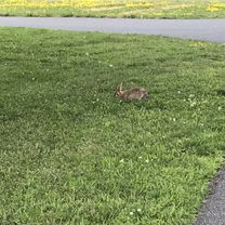 Easy ride in Longueuil - parc enfants
