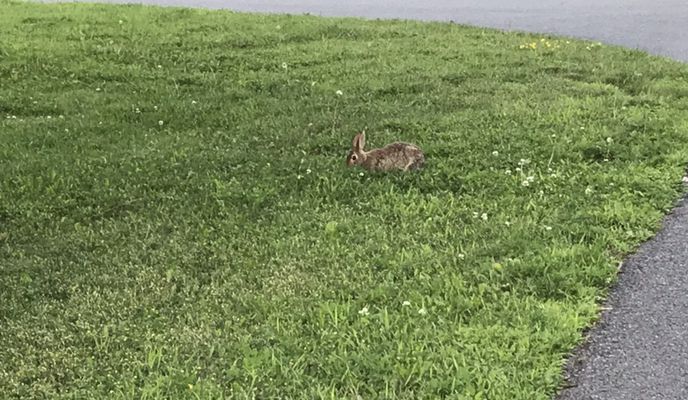 Photo 1 of the Bikemap route "Easy ride in Longueuil - parc enfants"