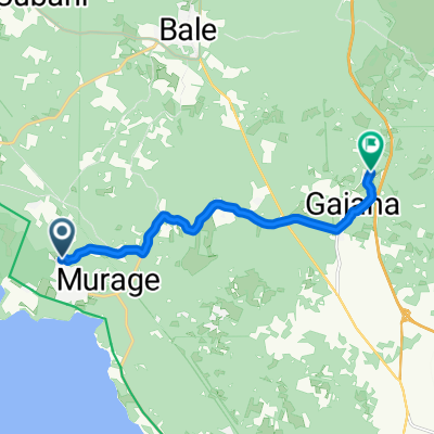 gajana