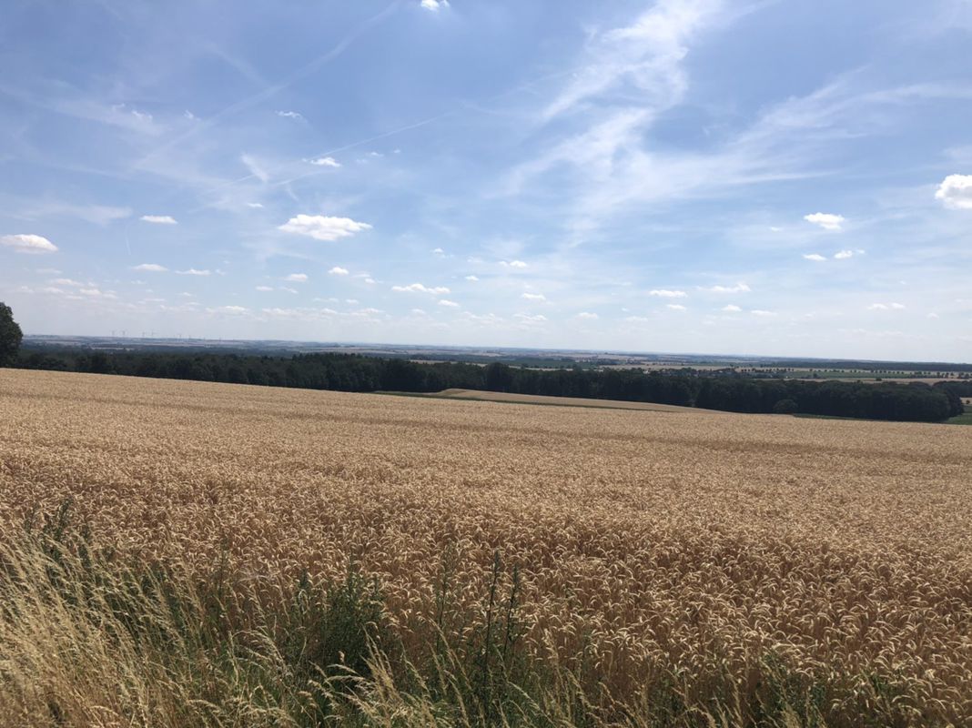 Rundum Oschatz