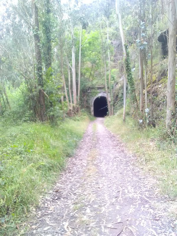 via verde de eo.