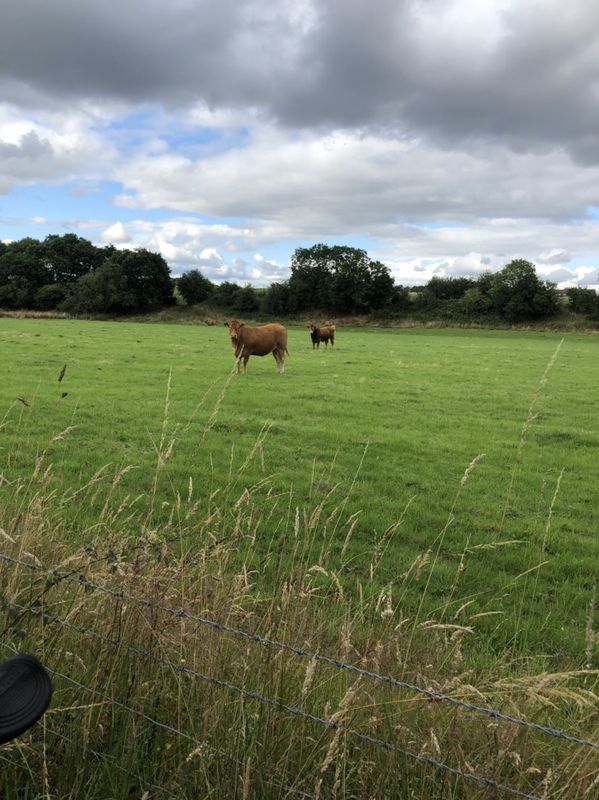 cursing around Stourport-on-Severn