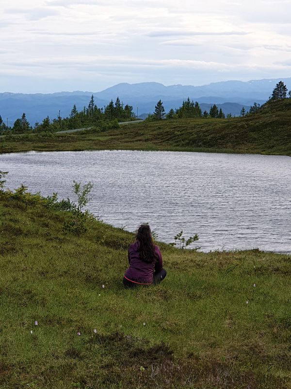 Vassfjellet-Heimdal