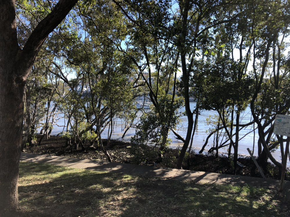 ride to west gate bridge