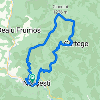 Cotul Ariesului 1