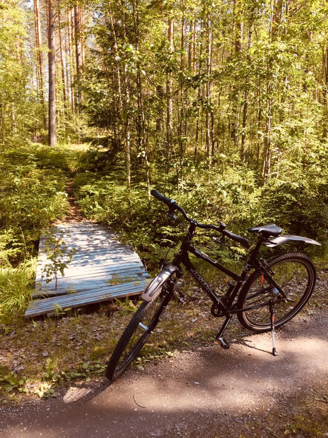 Easy ride in Punkaharju