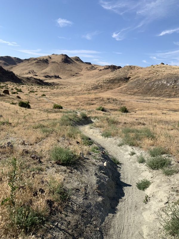 Steady ride in Melba