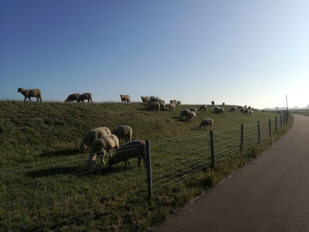 Einmal rum um Oldendorf