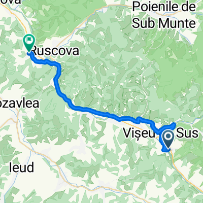 Day 6, 27 km: Viseu de Sus - Leordina