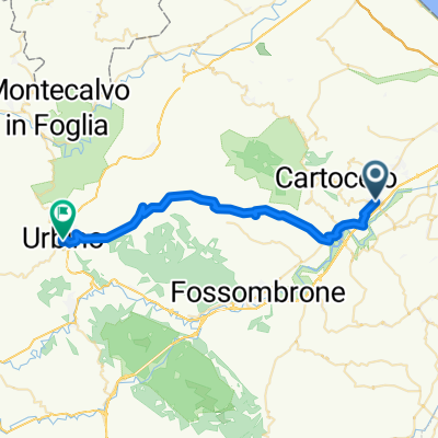 Urbino