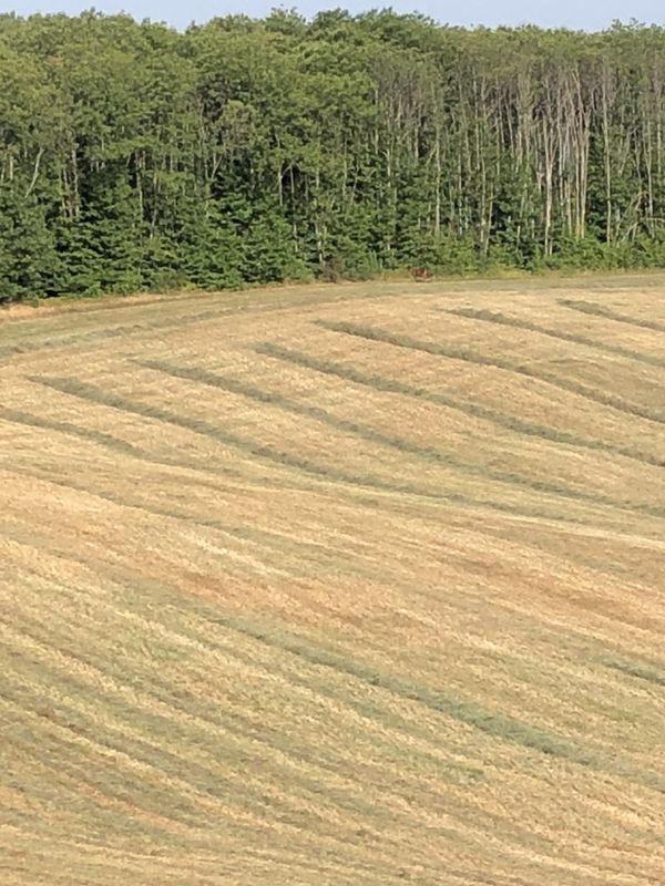 Steady ride in Belvès