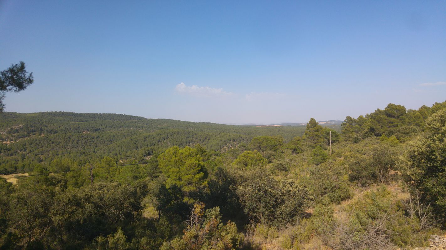dehesa de ayna cañadas dehesa