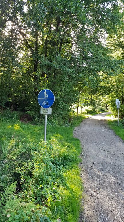 Kurze Abendtour zum Abkühlen