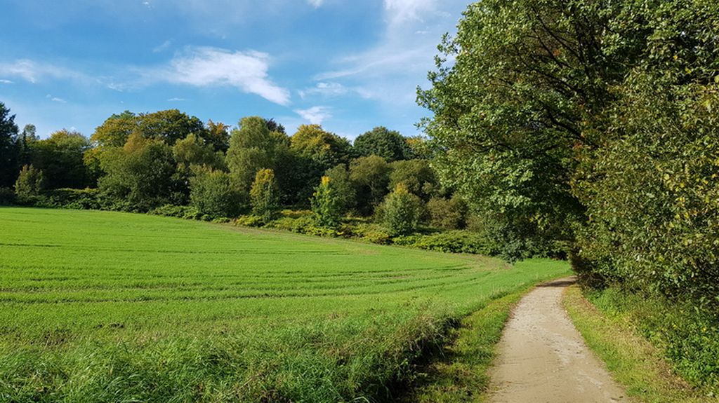 Kurze Abendtour zum Abkühlen