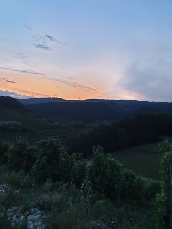 chaux / Evosges / Nivollet