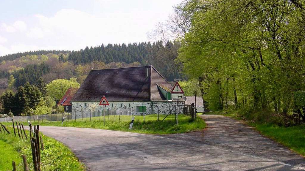 Mein Stammtrail mit viel Grün