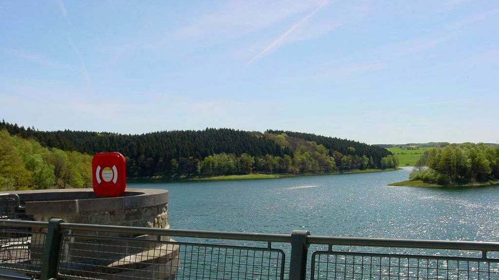 Mein Stammtrail mit viel Grün