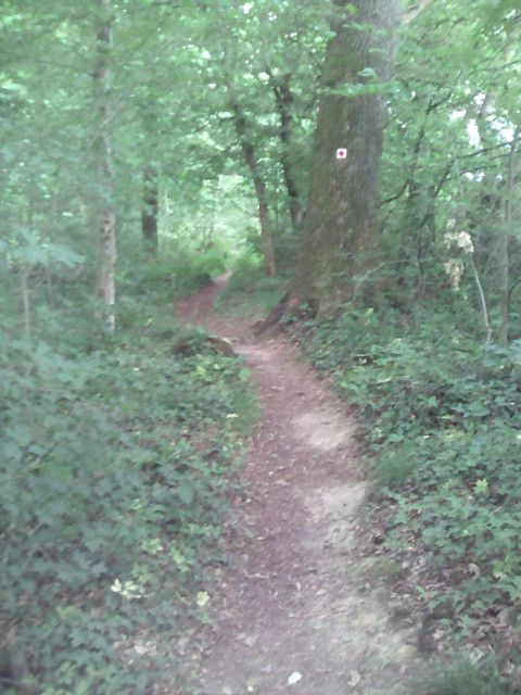 Wössingen-Nußbaum-Sprantal-Wössingen