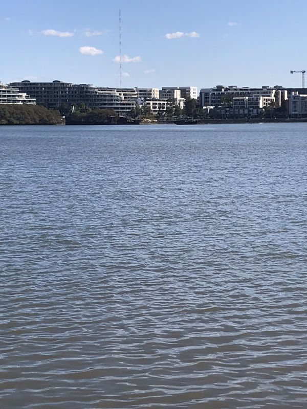 Snail-like route in Sydney Olympic Park