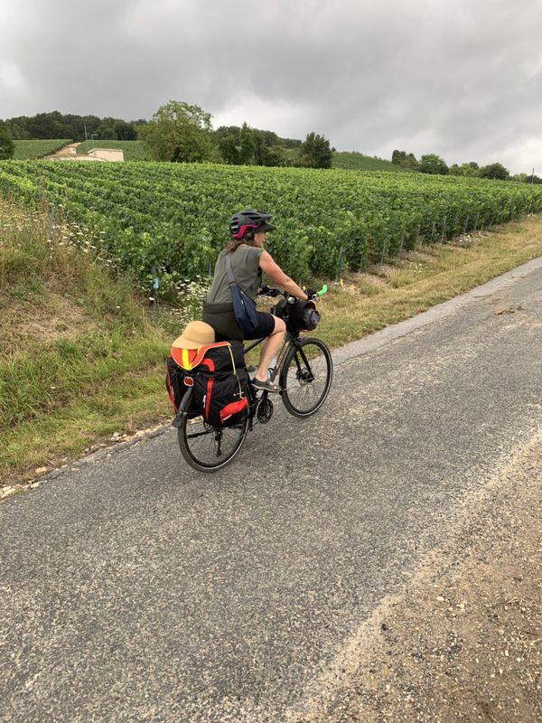 Moderate route in Courtemont-Varennes
