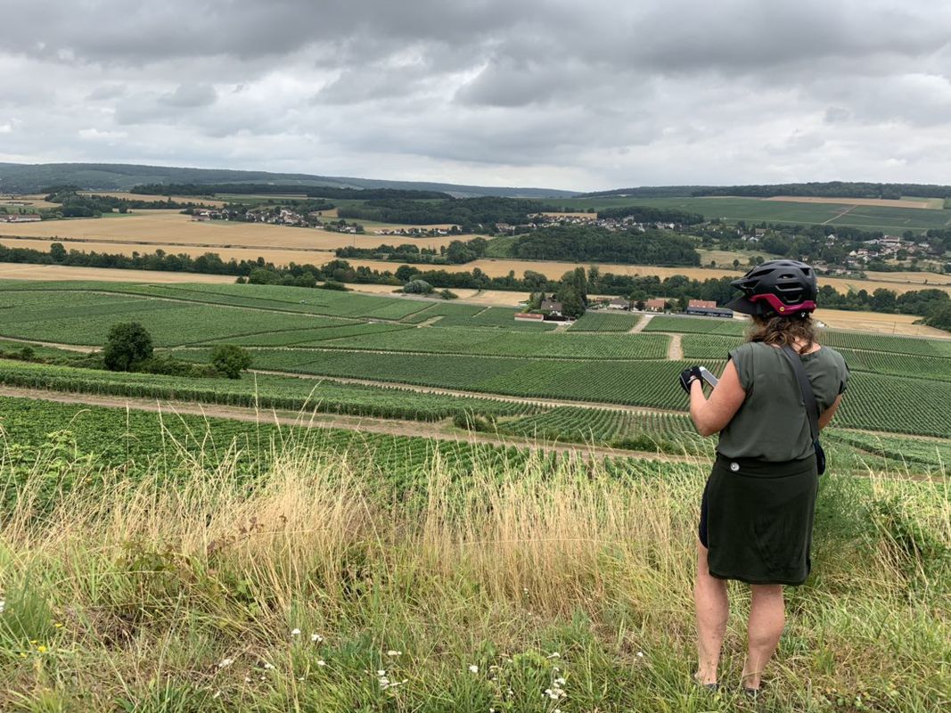 Moderate route in Courtemont-Varennes