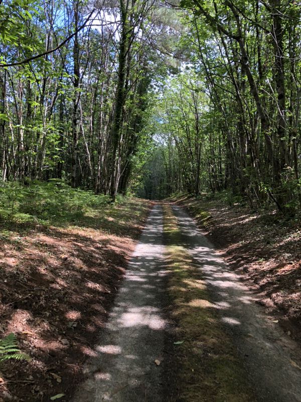 Moderate route in Belvès