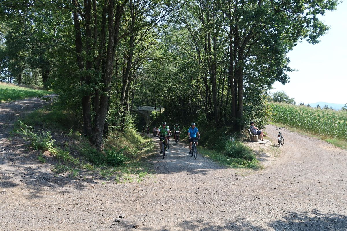 Wörth-Bogen-Miltach-Cham_20190725