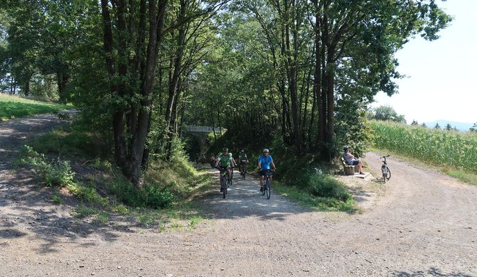 Foto 1 der Bikemap-Route "Wörth-Bogen-Miltach-Cham_20190725"