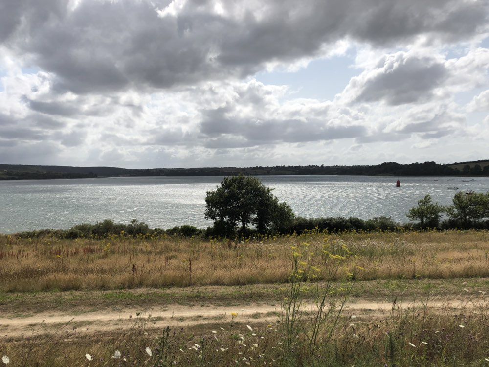 Côté de granit rose - Paimpol