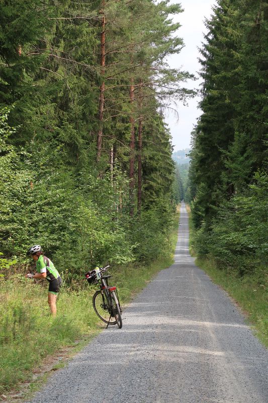 Waldsassen-Hof_20190728