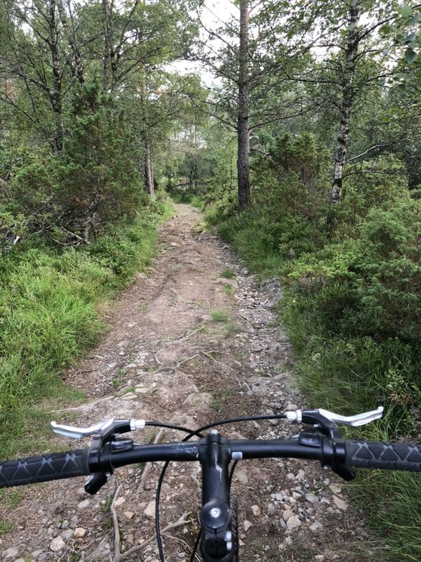 Steady ride in Ellingsøy