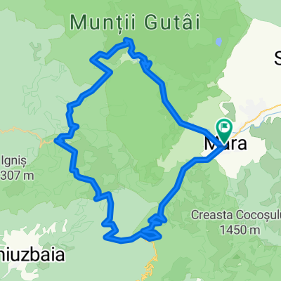 Mara_Izvoare_Barajul.Runcu