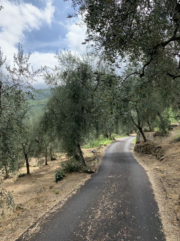 Steady ride in San Lorenzo al Mare to Pietrabruna and Boscomarw