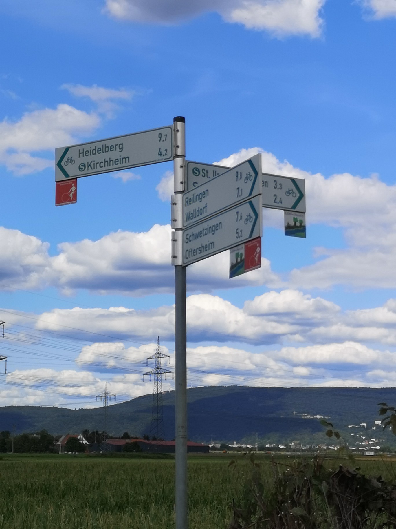 Durchs Feld