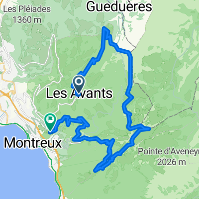 Dent de Jaman - Rochers de Nayes