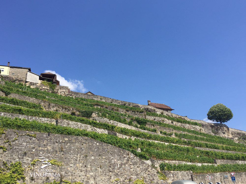 Bulle - Morges