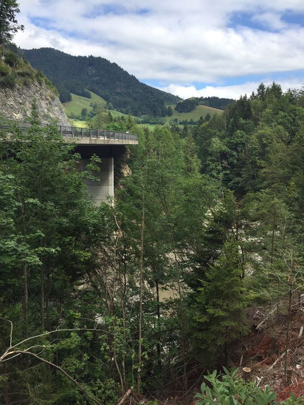 Zweisimmen - Bulle