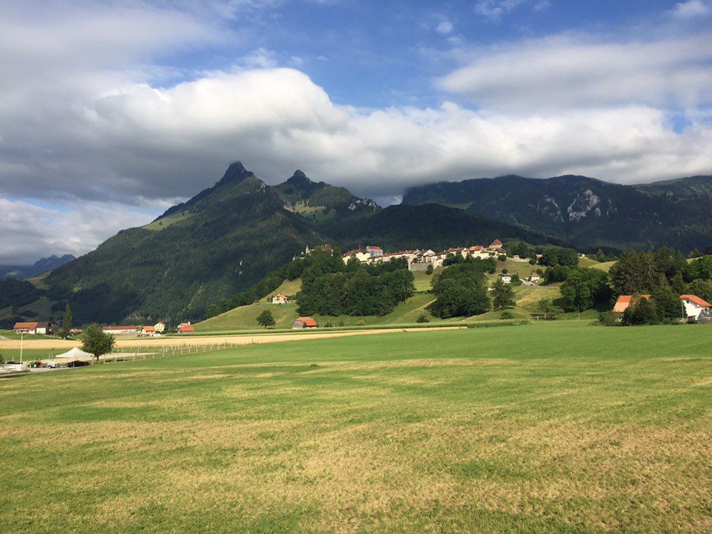 Zweisimmen - Bulle