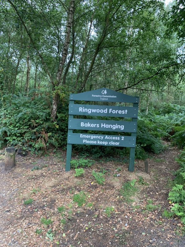 Easy ride in Ringwood
