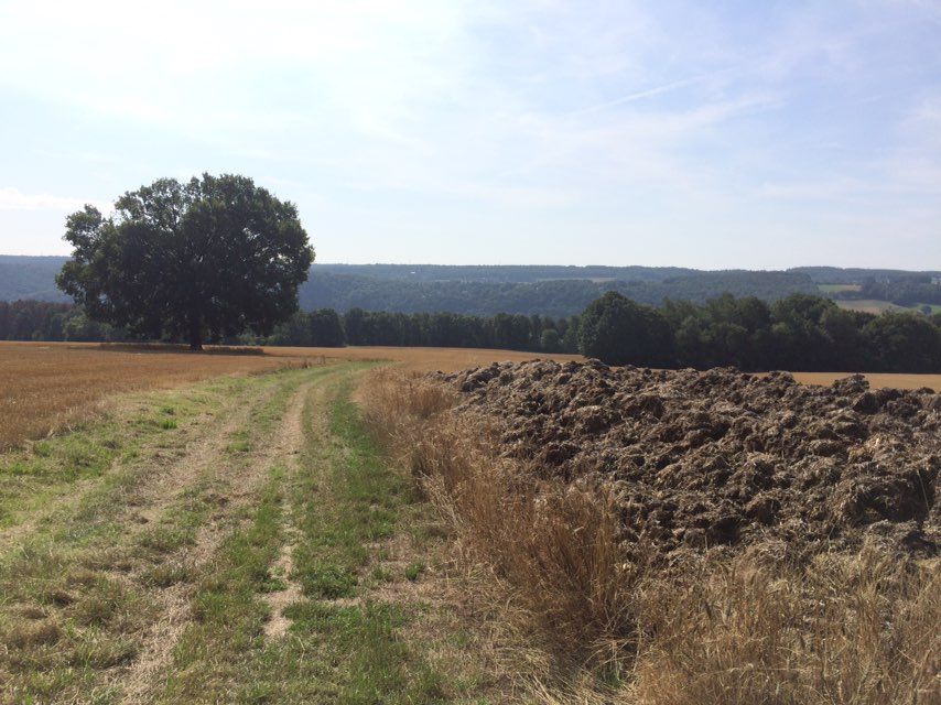 Itinéraire modéré en Héron