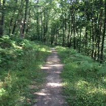 Photo 7 of the Bikemap route "Itinéraire modéré en Héron"