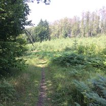 Itinéraire modéré en Héron