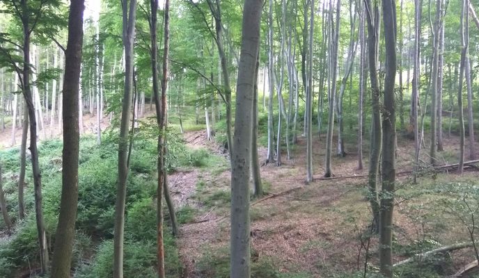 Photo 2 of the Bikemap route "#Home -Hörman-Home" Photo 2 of the Bikemap route "#Home -Hörman-Home"