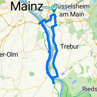 Einfache Fahrt in Frankenthal (Pfalz)