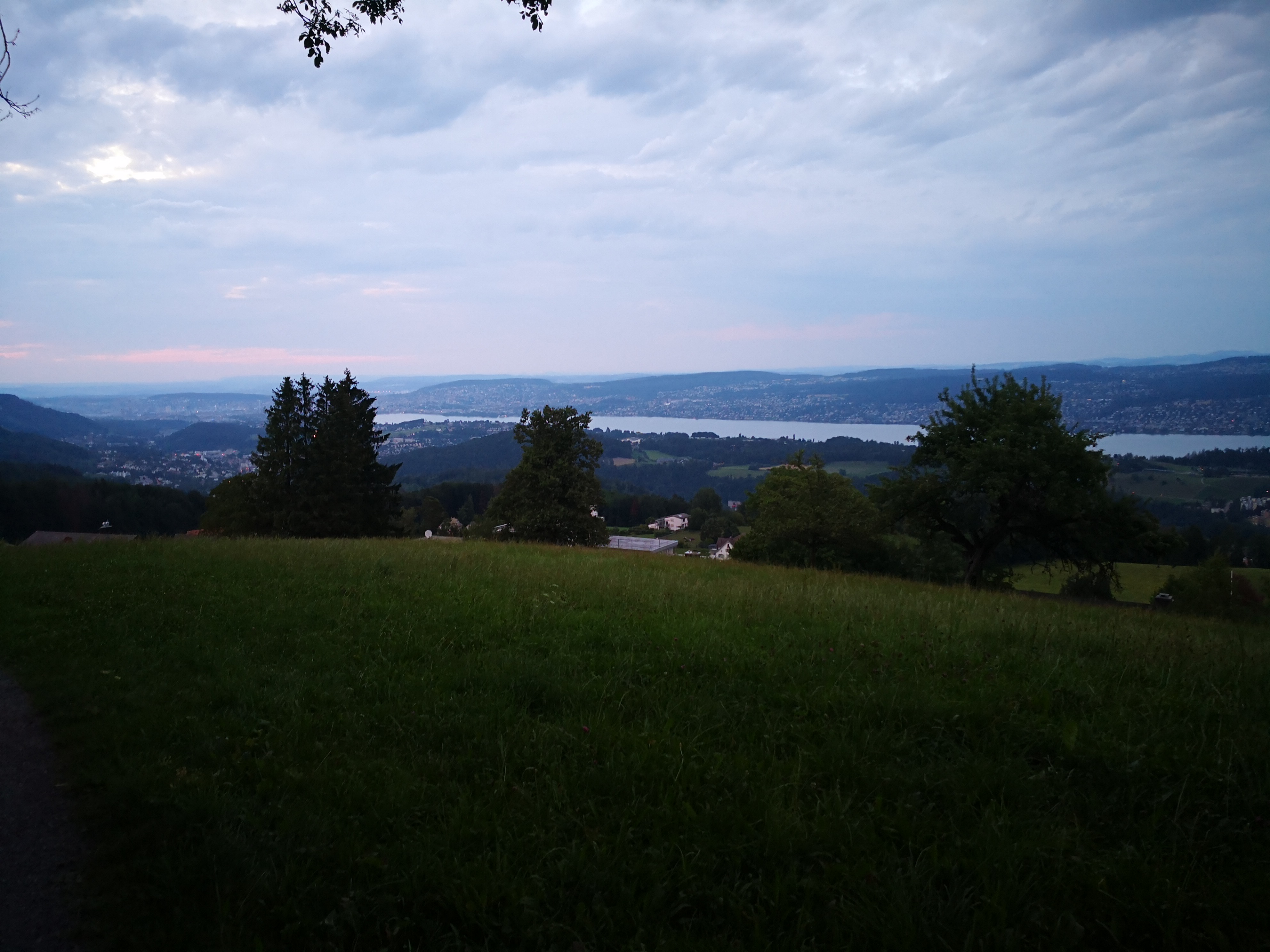Albis