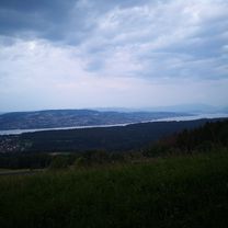 Albis