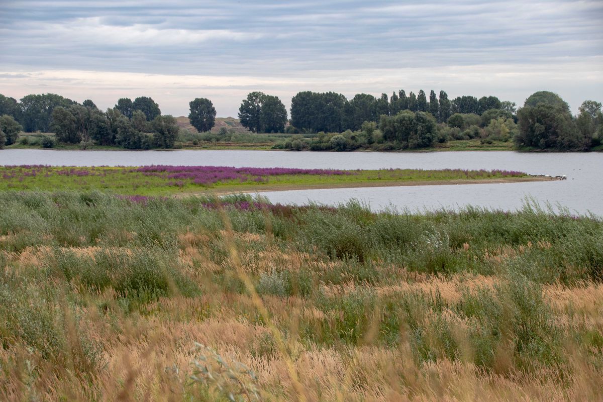 Kleine Maasroute bis Papenhoven