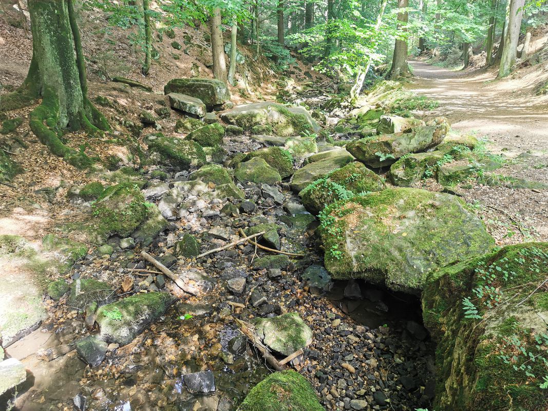Velmerstot to Externsteine